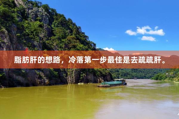 脂肪肝的想路，冷落第一步最佳是去疏疏肝。